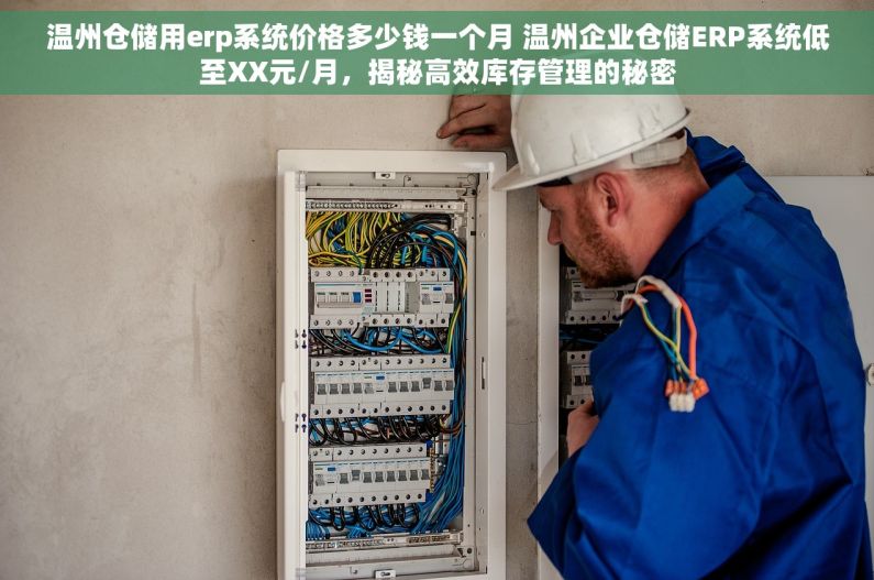 温州仓储用erp系统价格多少钱一个月 温州企业仓储ERP系统低至XX元/月，揭秘高效库存管理的秘密