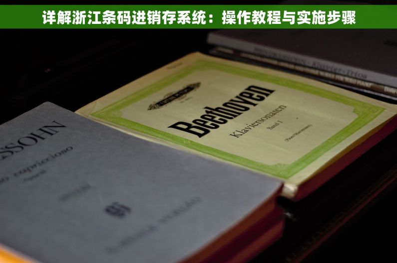 详解浙江条码进销存系统：操作教程与实施步骤