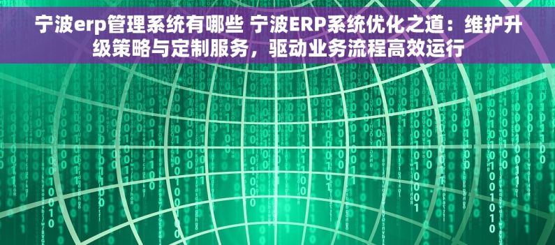 宁波erp管理系统有哪些 宁波ERP系统优化之道：维护升级策略与定制服务，驱动业务流程高效运行