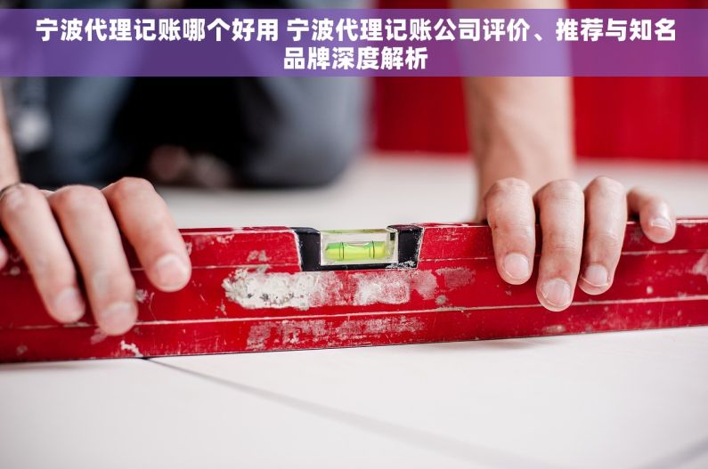 宁波代理记账哪个好用 宁波代理记账公司评价、推荐与知名品牌深度解析