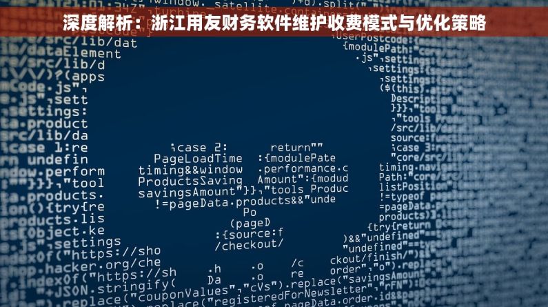 深度解析：浙江用友财务软件维护收费模式与优化策略