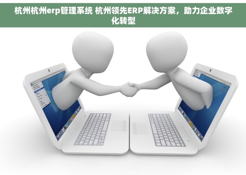 杭州杭州erp管理系统 杭州领先ERP解决方案，助力企业数字化转型