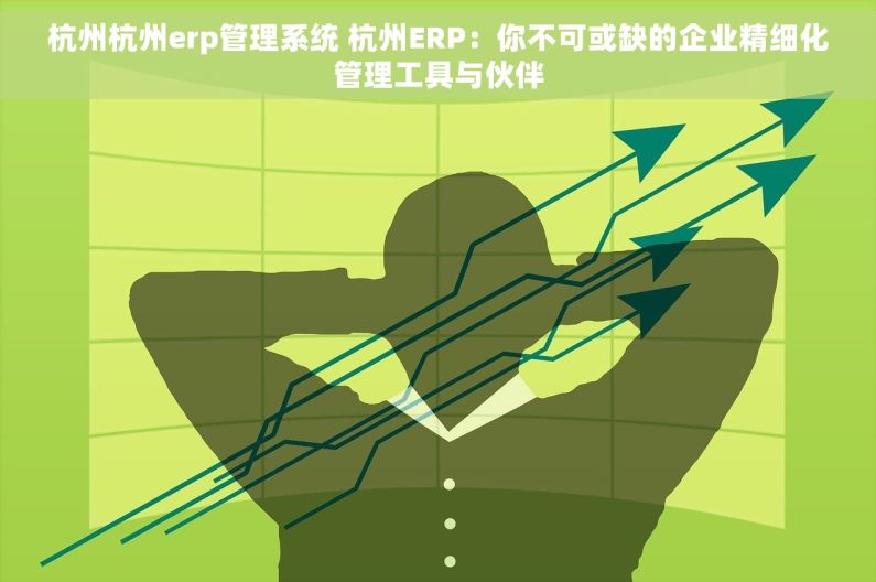 杭州杭州erp管理系统 杭州ERP：你不可或缺的企业精细化管理工具与伙伴