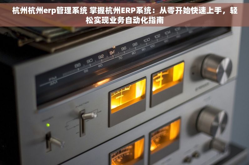 杭州杭州erp管理系统 掌握杭州ERP系统：从零开始快速上手，轻松实现业务自动化指南