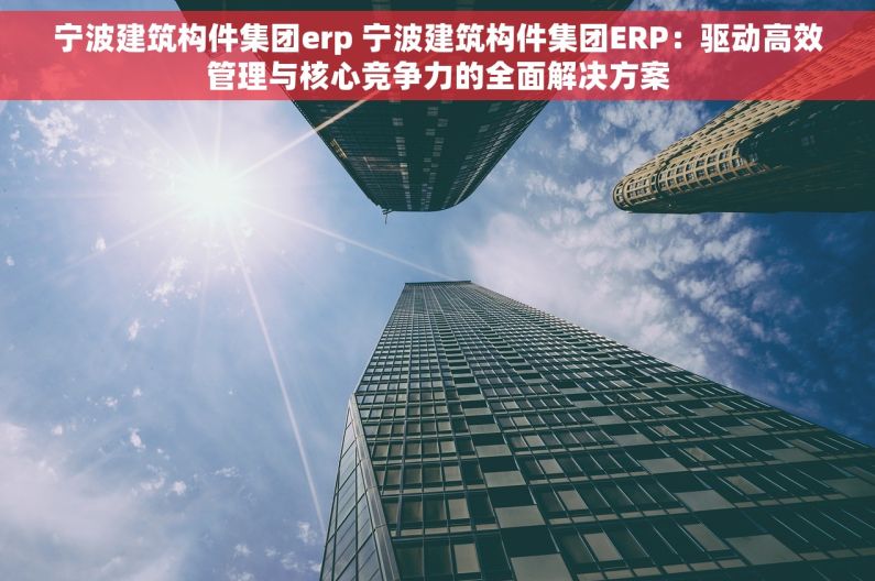 宁波建筑构件集团erp 宁波建筑构件集团ERP：驱动高效管理与核心竞争力的全面解决方案