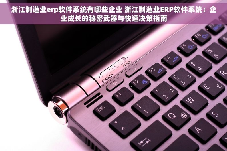 浙江制造业erp软件系统有哪些企业 浙江制造业ERP软件系统：企业成长的秘密武器与快速决策指南