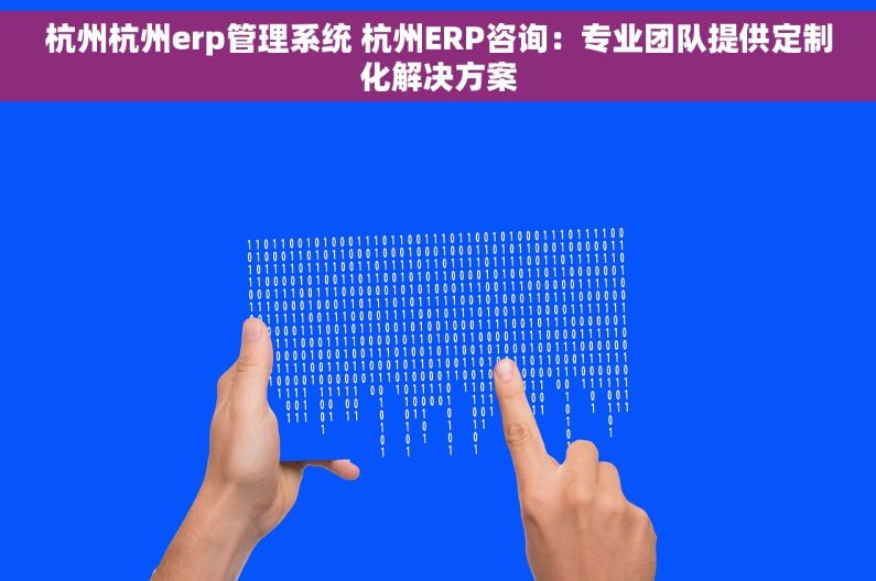 杭州杭州erp管理系统 杭州ERP咨询：专业团队提供定制化解决方案