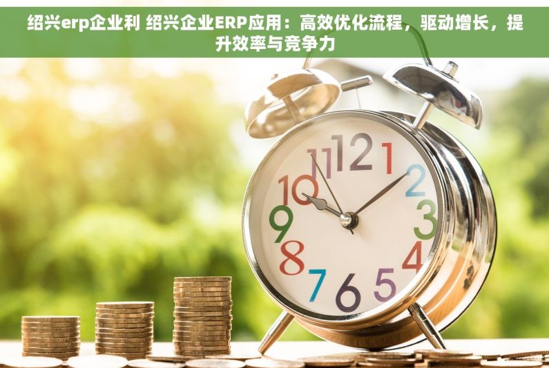 绍兴erp企业利 绍兴企业ERP应用：高效优化流程，驱动增长，提升效率与竞争力