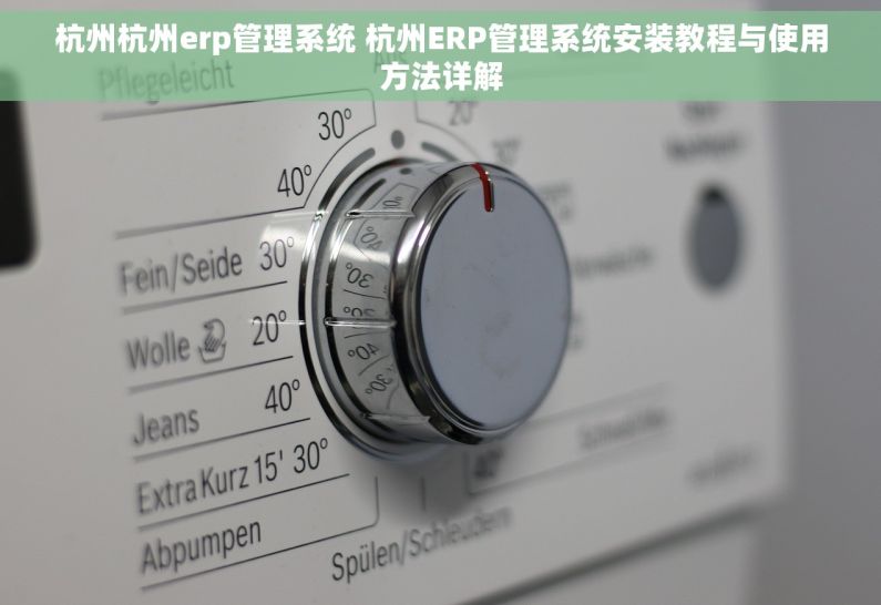 杭州杭州erp管理系统 杭州ERP管理系统安装教程与使用方法详解