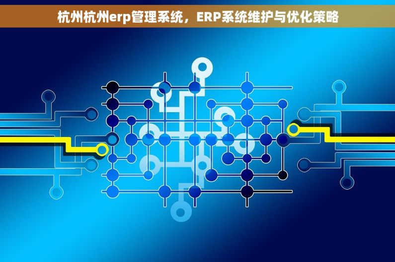 杭州杭州erp管理系统，ERP系统维护与优化策略