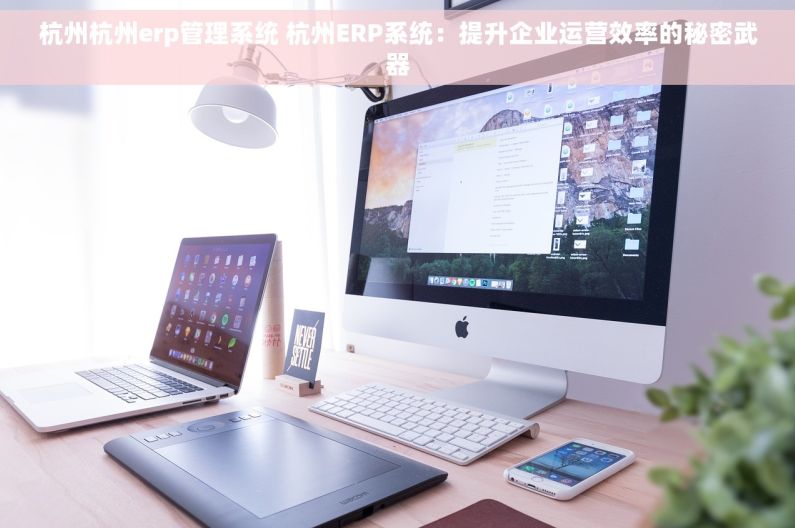 杭州杭州erp管理系统 杭州ERP系统：提升企业运营效率的秘密武器