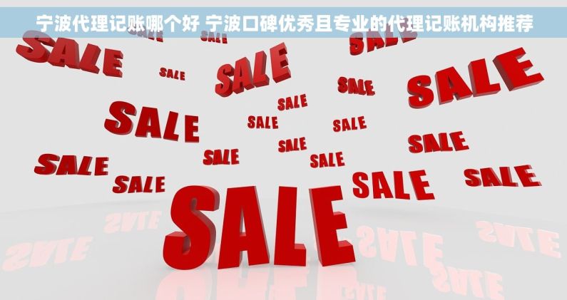 宁波代理记账哪个好 宁波口碑优秀且专业的代理记账机构推荐