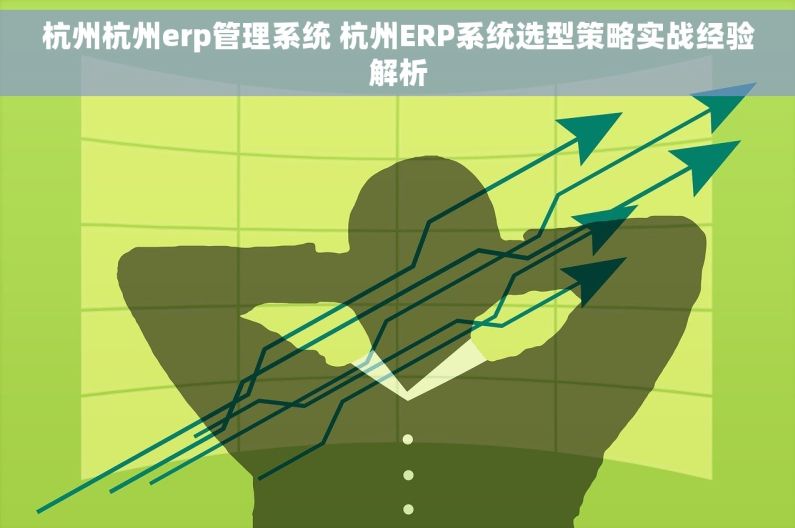 杭州杭州erp管理系统 杭州ERP系统选型策略实战经验解析