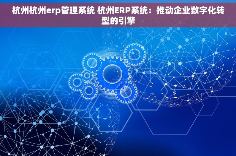 杭州杭州erp管理系统 杭州ERP系统：推动企业数字化转型的引擎