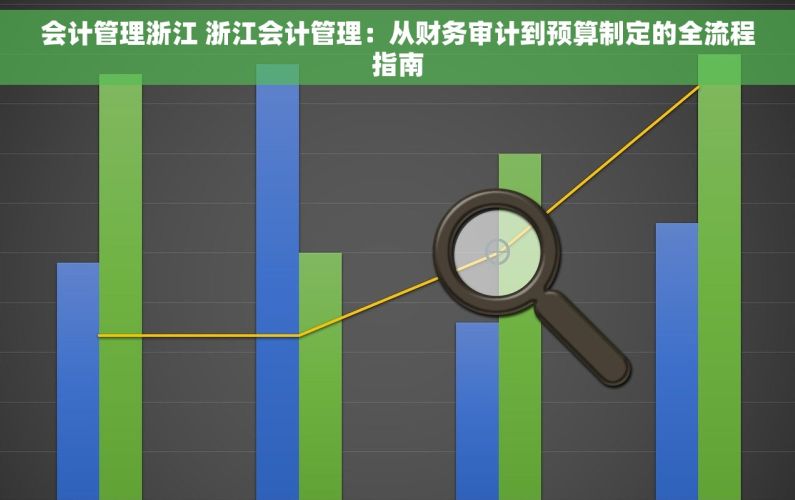 会计管理浙江 浙江会计管理：从财务审计到预算制定的全流程指南