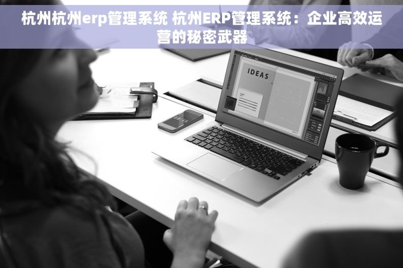 杭州杭州erp管理系统 杭州ERP管理系统：企业高效运营的秘密武器