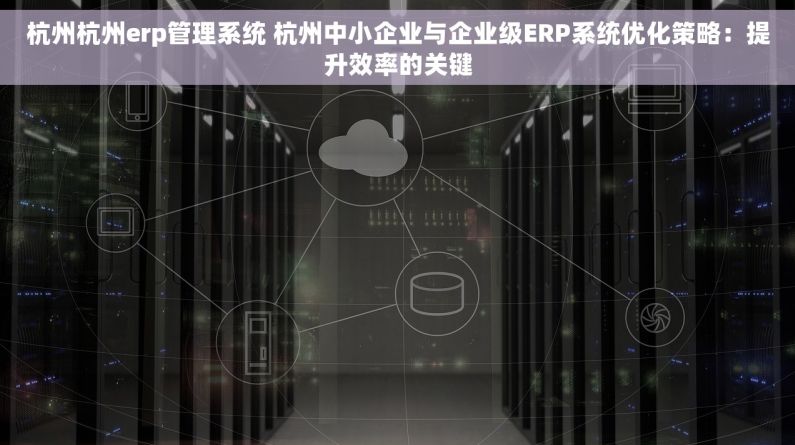 杭州杭州erp管理系统 杭州中小企业与企业级ERP系统优化策略：提升效率的关键