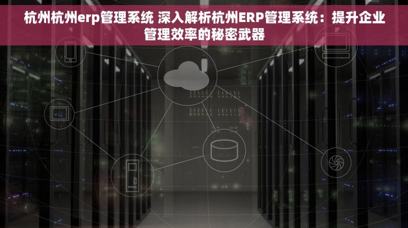 杭州杭州erp管理系统 深入解析杭州ERP管理系统：提升企业管理效率的秘密武器