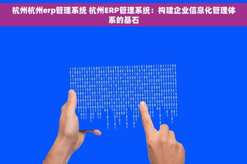 杭州杭州erp管理系统 杭州ERP管理系统：构建企业信息化管理体系的基石