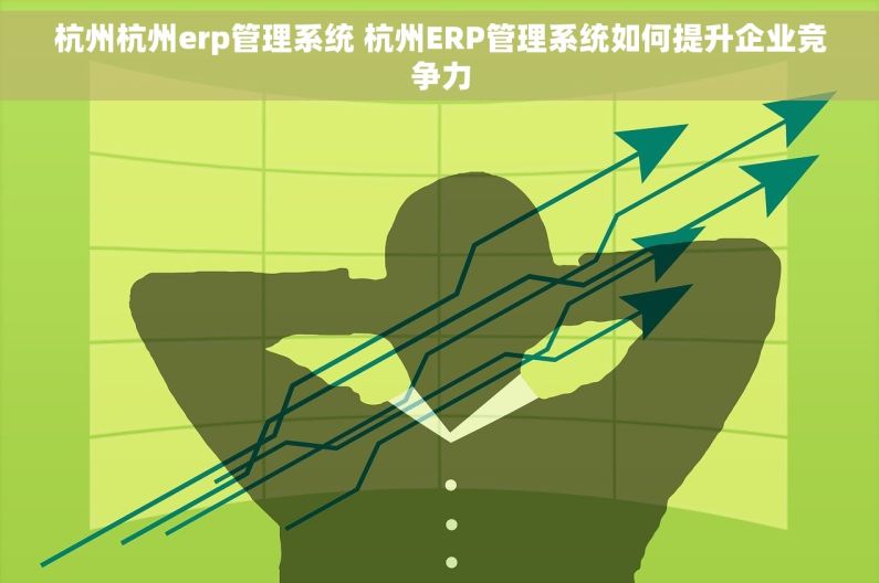 杭州杭州erp管理系统 杭州ERP管理系统如何提升企业竞争力