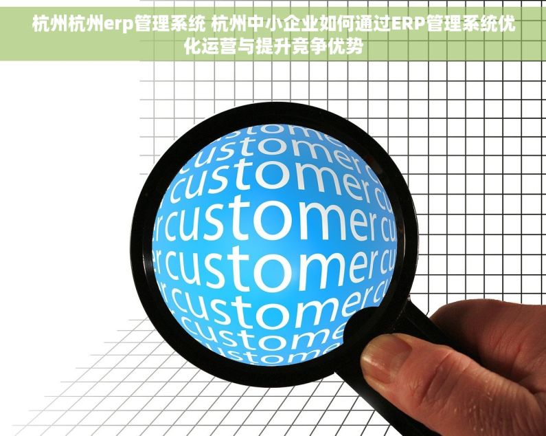 杭州杭州erp管理系统 杭州中小企业如何通过ERP管理系统优化运营与提升竞争优势