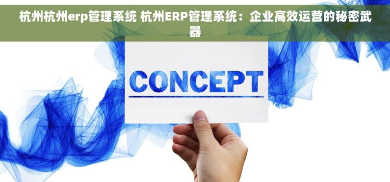 杭州杭州erp管理系统 杭州ERP管理系统：企业高效运营的秘密武器