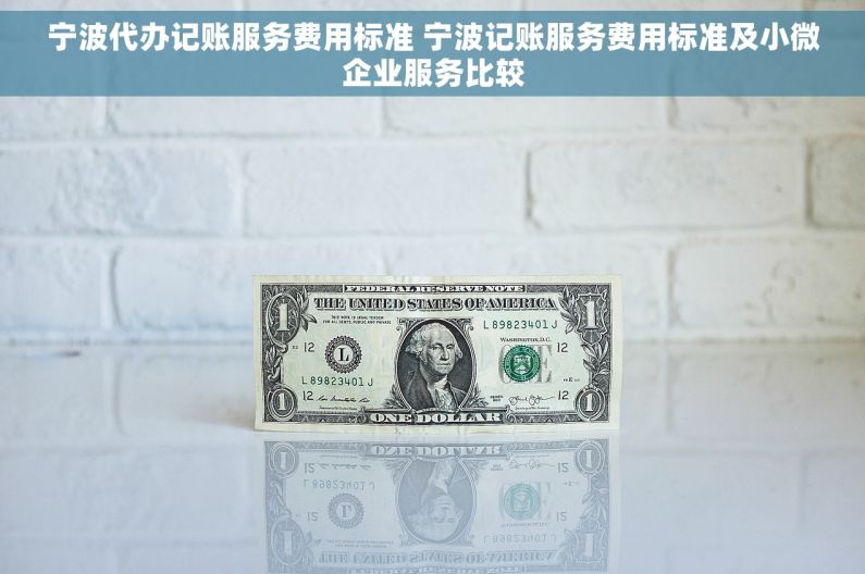 宁波代办记账服务费用标准 宁波记账服务费用标准及小微企业服务比较