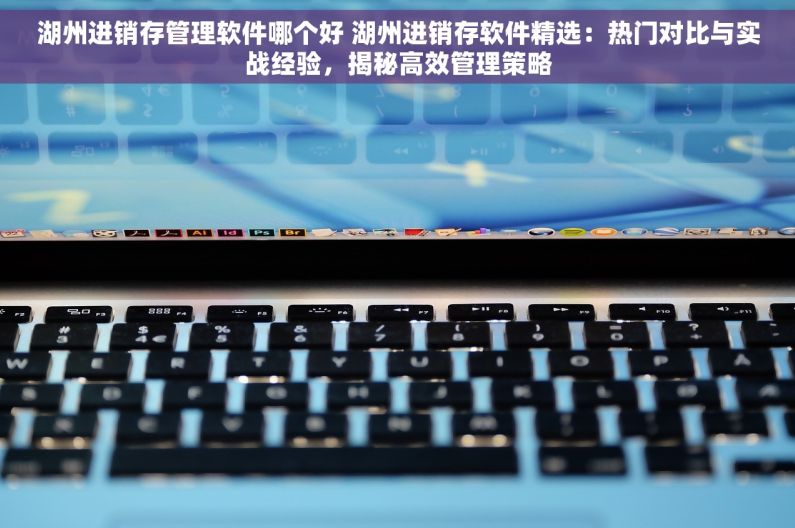 湖州进销存管理软件哪个好 湖州进销存软件精选：热门对比与实战经验，揭秘高效管理策略