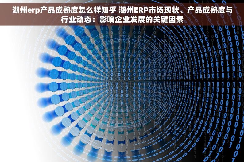 湖州erp产品成熟度怎么样知乎 湖州ERP市场现状、产品成熟度与行业动态：影响企业发展的关键因素