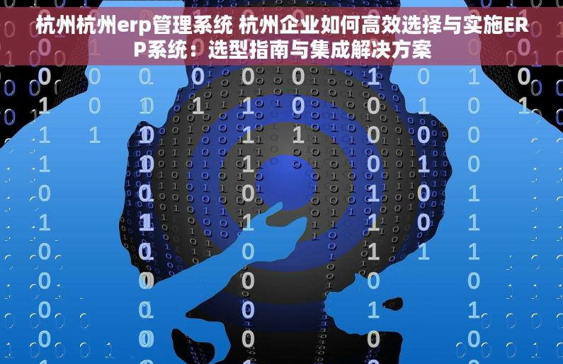 杭州杭州erp管理系统 杭州企业如何高效选择与实施ERP系统：选型指南与集成解决方案