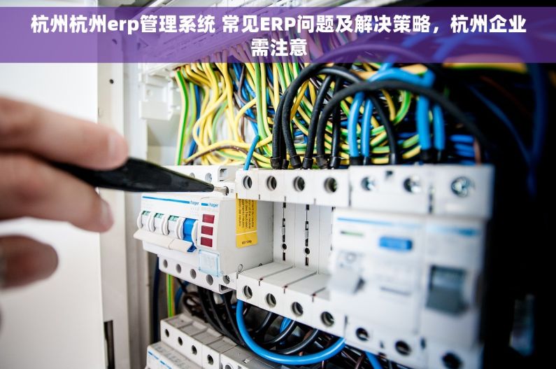杭州杭州erp管理系统 常见ERP问题及解决策略，杭州企业需注意