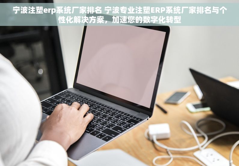 宁波注塑erp系统厂家排名 宁波专业注塑ERP系统厂家排名与个性化解决方案，加速您的数字化转型