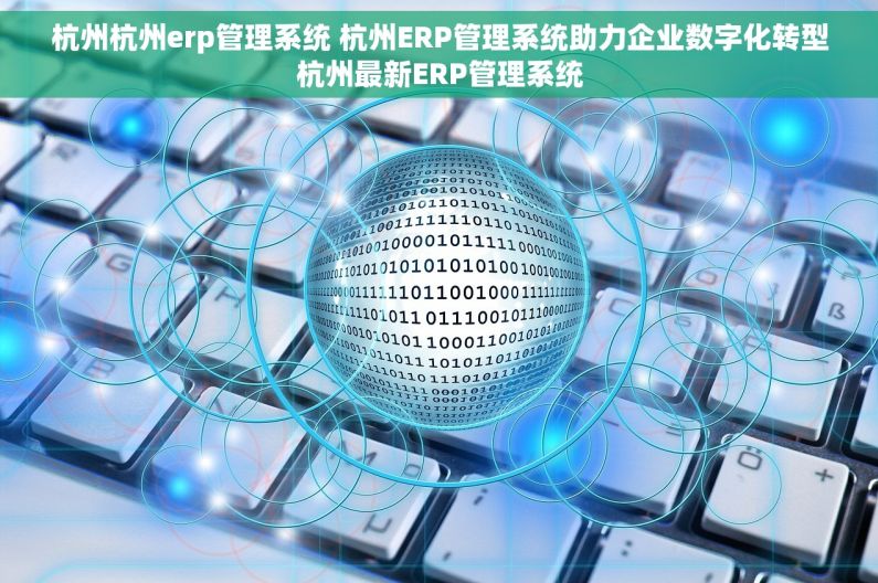 杭州杭州erp管理系统 杭州ERP管理系统助力企业数字化转型杭州最新ERP管理系统