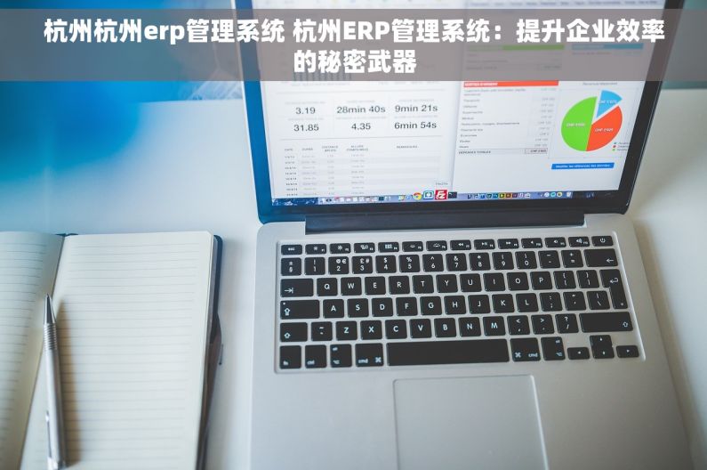 杭州杭州erp管理系统 杭州ERP管理系统：提升企业效率的秘密武器