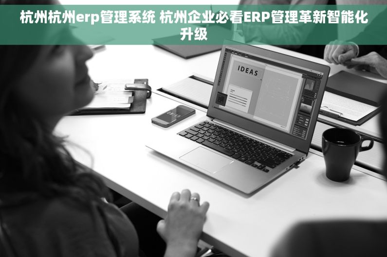 杭州杭州erp管理系统 杭州企业必看ERP管理革新智能化升级