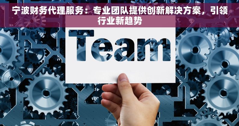 宁波财务代理服务：专业团队提供创新解决方案，引领行业新趋势