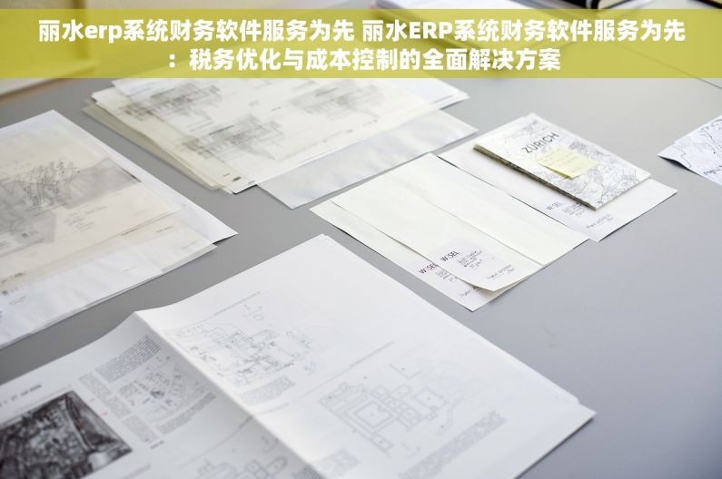 丽水erp系统财务软件服务为先 丽水ERP系统财务软件服务为先：税务优化与成本控制的全面解决方案