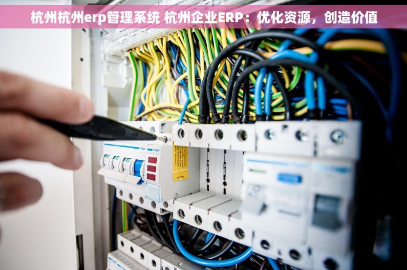 杭州杭州erp管理系统 杭州企业ERP：优化资源，创造价值