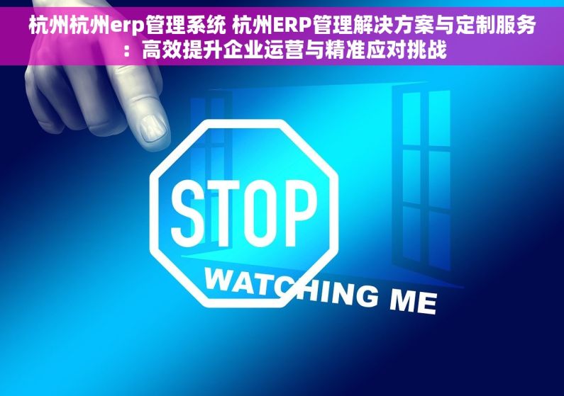 杭州杭州erp管理系统 杭州ERP管理解决方案与定制服务：高效提升企业运营与精准应对挑战