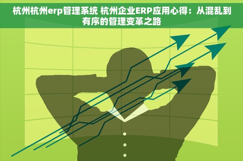 杭州杭州erp管理系统 杭州企业ERP应用心得：从混乱到有序的管理变革之路