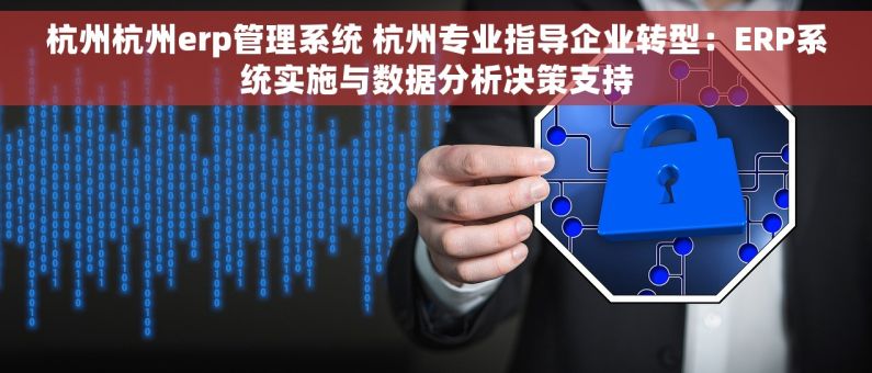 杭州杭州erp管理系统 杭州专业指导企业转型：ERP系统实施与数据分析决策支持