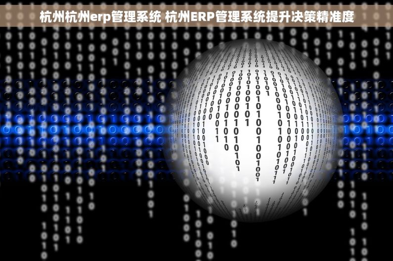 杭州杭州erp管理系统 杭州ERP管理系统提升决策精准度