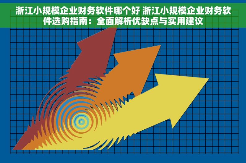 浙江小规模企业财务软件哪个好 浙江小规模企业财务软件选购指南：全面解析优缺点与实用建议