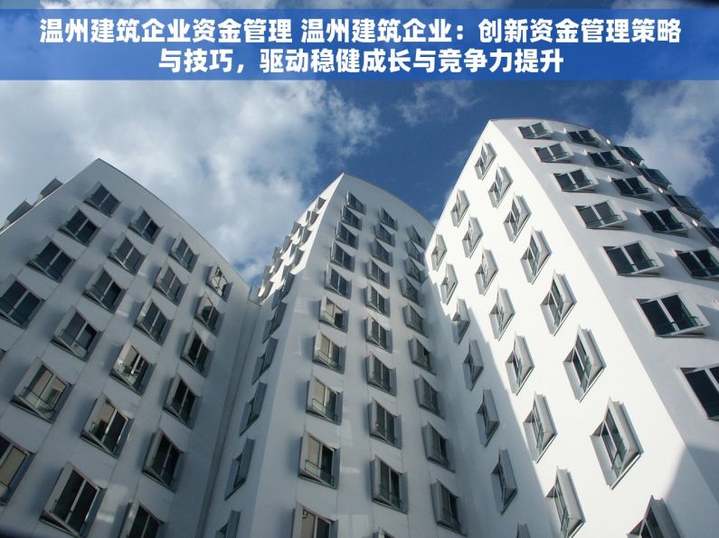 温州建筑企业资金管理 温州建筑企业：创新资金管理策略与技巧，驱动稳健成长与竞争力提升