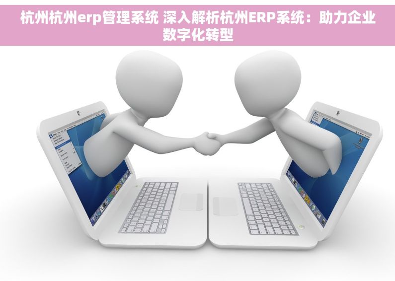 杭州杭州erp管理系统 深入解析杭州ERP系统：助力企业数字化转型