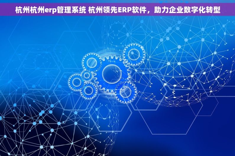 杭州杭州erp管理系统 杭州领先ERP软件，助力企业数字化转型