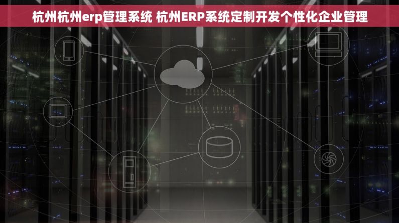 杭州杭州erp管理系统 杭州ERP系统定制开发个性化企业管理