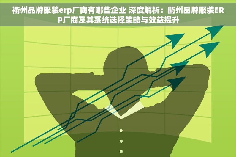 衢州品牌服装erp厂商有哪些企业 深度解析：衢州品牌服装ERP厂商及其系统选择策略与效益提升
