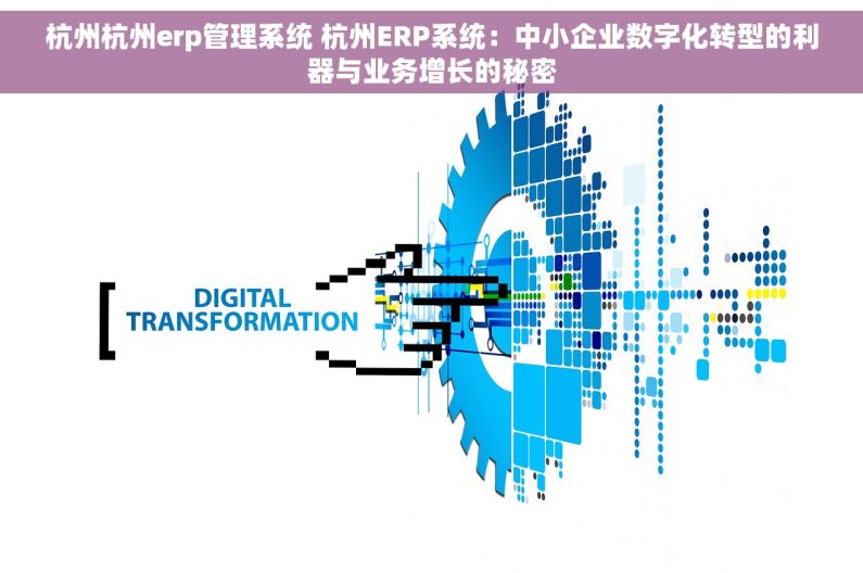 杭州杭州erp管理系统 杭州ERP系统：中小企业数字化转型的利器与业务增长的秘密