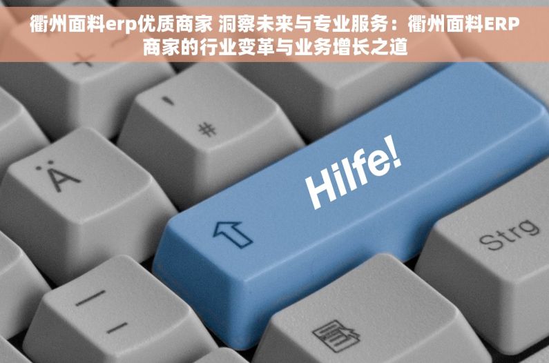 衢州面料erp优质商家 洞察未来与专业服务：衢州面料ERP商家的行业变革与业务增长之道